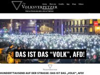 Bild zum Artikel: Hunderttausend auf der Straße: Das ist das „Volk“, AfD!