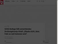 Bild zum Artikel: GZSZ-Kollege fällt vernichtendes Dschungelcamp-Urteil: „Glaube nicht, dass Felix so weit kommen wird“