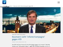 Bild zum Artikel: Baumann sieht 'infame Kampagne' gegen AfD