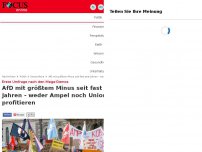 Bild zum Artikel: Erste Umfrage nach den Mega-Demos - AfD mit größtem Minus seit fast zwei Jahren - weder Ampel noch Union profitieren