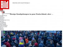 Bild zum Artikel: Riesige Kundgebungen, aber … - Kriegen die Mega-Demos die AfD klein?