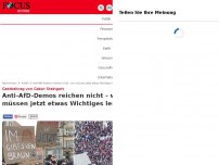 Bild zum Artikel: Gastbeitrag von Gabor Steingart - Anti-AfD-Demos: Empörung ist keine hinreichende Reaktion