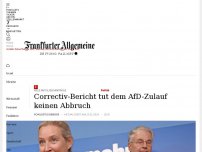 Bild zum Artikel: Wie der „Correctiv“-Bericht der AfD hilft