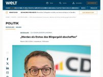 Bild zum Artikel: „Werden als Erstes das Bürgergeld abschaffen“