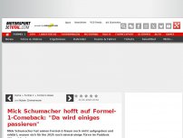 Bild zum Artikel: Mick Schumacher selbstbewusst: Habe weitere Formel-1-Chance verdient!