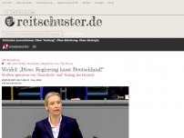 Bild zum Artikel: Weidel: „Diese Regierung hasst Deutschland!“
