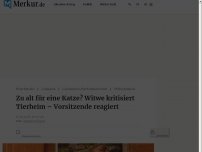 Bild zum Artikel: Zu alt für eine Katze? Witwe aus Mittenwald kritisiert Tierheim