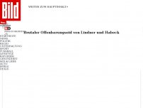 Bild zum Artikel: Lindner und Habeck - Deutschland „nicht mehr wettbewerbsfähig“