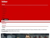 Bild zum Artikel: Zwayer pfeift Topspiel zwischen Leverkusen und Bayern