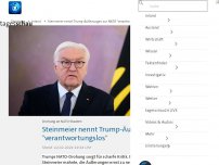 Bild zum Artikel: Steinmeier nennt Trump-Äußerungen zur NATO 'verantwortungslos'
