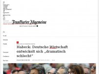 Bild zum Artikel: Habeck: Deutsche Wirtschaft entwickelt sich „dramatisch schlecht“