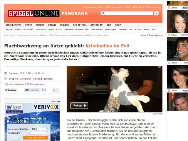 Bild zum Artikel: Fluchtwerkzeug an Katze geklebt: Kriminelles im Fell