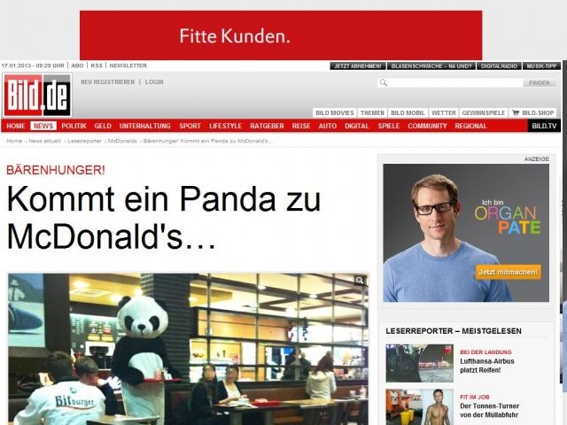 Bild zum Artikel: Bärenhunger! - Kommt ein Panda zu McDonald's…