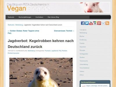 Bild zum Artikel: Jagdverbot: Kegelrobben kehren nach Deutschland zurück
