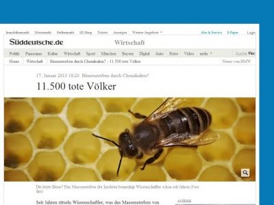 Bild zum Artikel: Bienensterben durch Chemikalien?: 11.500 tote Völker