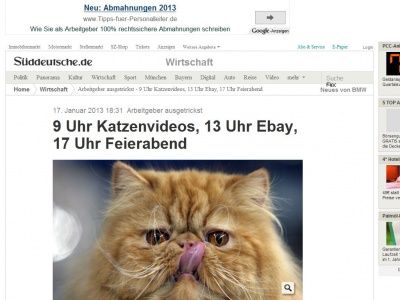 Bild zum Artikel: Arbeitgeber ausgetrickst: 9 Uhr Katzenvideos, 13 Uhr Ebay, 17 Uhr Feierabend