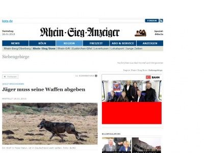Bild zum Artikel: Wolf erschossen - Jäger muss seine Waffen abgeben