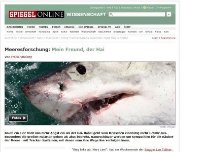 Bild zum Artikel: Meeresforschung: Mein Freund, der Hai