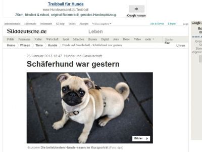 Bild zum Artikel: Hunde und Gesellschaft: Schäferhund war gestern