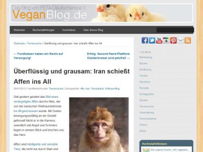 Bild zum Artikel: Überflüssig und grausam: Iran schießt Affen ins All
