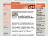 Bild zum Artikel: Warum die Bundeswehr Drohnen braucht