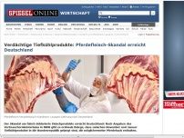 Bild zum Artikel: Verdächtige Tiefkühlprodukte: Pferdefleisch-Skandal erreicht Deutschland
