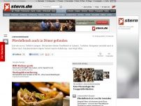 Bild zum Artikel: Lebensmittelskandal: Pferdefleisch auch in Döner gefunden