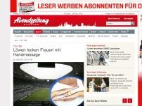 Bild zum Artikel: TSV 1860: Löwen locken Frauen mit Handmassage