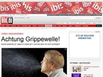 Bild zum Artikel: Viren grassieren - Achtung Grippewelle!