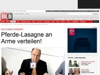 Bild zum Artikel: Politiker fordert - Pferde-Lasagne an Arme verteilen!