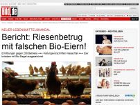 Bild zum Artikel: Lebensmittelskandal - Riesenbetrug mit falschen Bio-Eiern!