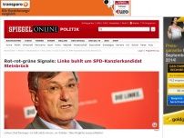Bild zum Artikel: Rot-rot-grüne Signale: Linke buhlt um SPD-Kanzlerkandidat Steinbrück