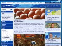 Bild zum Artikel: Staatsanwaltschaft ermittelt wegen Betrugs mit Bio-Eiern