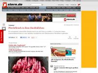 Bild zum Artikel: Köttbullar: Pferdefleisch in Ikea-Hackbällchen
