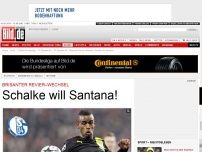 Bild zum Artikel: Brisanter Revier–Wechsel - Schalke will Santana!