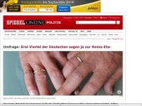 Bild zum Artikel: Umfrage: Drei Viertel der Deutschen sagen ja zur Homo-Ehe