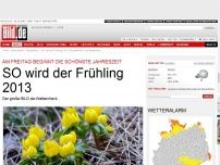 Bild zum Artikel: BILD.de-Wettercheck - SO wird der Frühling in diesem Jahr