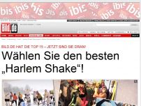 Bild zum Artikel: Wählen Sie den besten „Harlem Shake“!