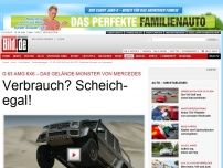 Bild zum Artikel: Verbrauch? Scheich-egal! - Das Gelände-Monster von Mercedes