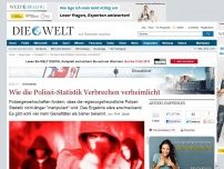 Bild zum Artikel: Kriminalität: Wie die Polizei-Statistik Verbrechen verheimlicht