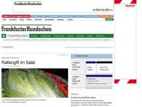Bild zum Artikel: Großmarkt Frankfurt - Rattengift im Salat