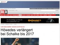 Bild zum Artikel: Schalke-Hammer! - Höwedes verlängert bis 2017