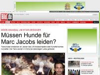 Bild zum Artikel: 'Kunstfell-Kragen' - Müssen Hunde für Marc-Jacobs-Mode leiden?