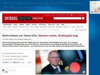 Bild zum Artikel: Reformideen zur Homo-Ehe: Steuern runter, Kindergeld weg