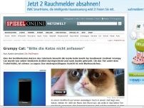 Bild zum Artikel: Grumpy Cat: 'Bitte die Katze nicht anfassen'