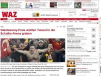 Bild zum Artikel: Fans: Galatasaray-Fans wollten Tunnel in die Schalke-Arena graben
