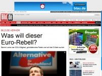 Bild zum Artikel: BILD.de-Verhör - Was will Euro-Rebell Bernd Lucke?