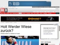 Bild zum Artikel: Schaaf schwärmt - Holt Werder Wiese zurück?