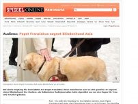 Bild zum Artikel: Audienz: Papst Franziskus segnet Blindenhund Asia