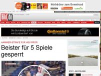 Bild zum Artikel: Hammer-Strafe für HSV-Profi - Beister für 5 Spiele gesperrt